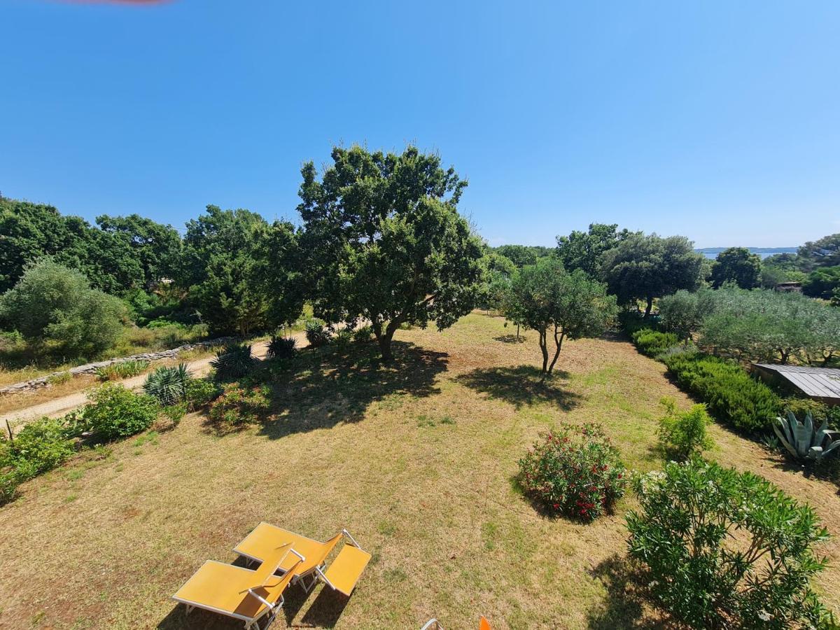 וודניאן Apartments Kuca Sunce מראה חיצוני תמונה